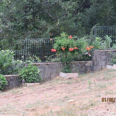 L'Altore Di Savaghju Vivario  Esterno foto