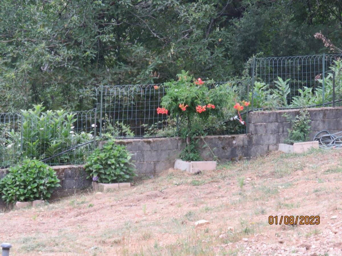 L'Altore Di Savaghju Vivario  Esterno foto